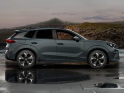 Used Cupra Terramar 1.5 eTSI V2 DSG Euro 6 (s/s) 5dr full