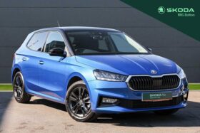 Used Skoda FABIA 1.0 TSI (110ps) Colour Edition DSG Hatchback