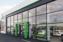 Used Skoda FABIA 1.0 TSI (116ps) Design Edition full