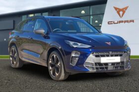 Used Cupra Terramar 1.5 eTSI V2 DSG Euro 6 (s/s) 5dr