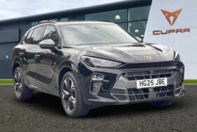 Used Cupra Terramar 1.5 eTSI 150 V2 5dr DSG