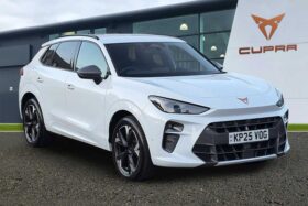Used CUPRA Terramar 1.5 eTSI 150 V2 5dr DSG