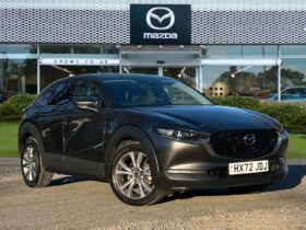 Used Mazda CX-30 2.0 e-SKYACTIV G MHEV GT Sport Auto Euro 6 (s/s) 5dr