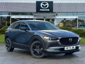 Used Mazda CX-30 2.0 e-SKYACTIV X MHEV Homura Euro 6 (s/s) 5dr
