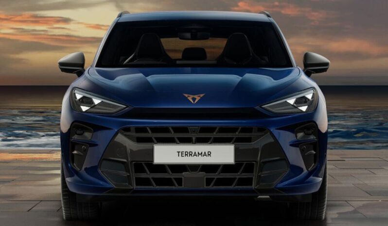 Used Cupra Terramar 1.5 eTSI V2 DSG Euro 6 (s/s) 5dr full