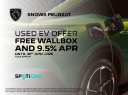 Used Peugeot 2008 50kWh GT Auto 5dr full